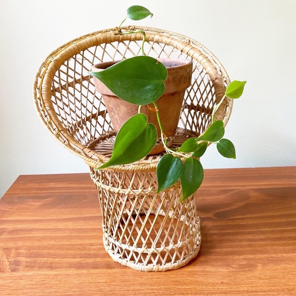 Vintage Unique Wicker Peacock Chair Plant Stand Boho Eclectic Home Decor